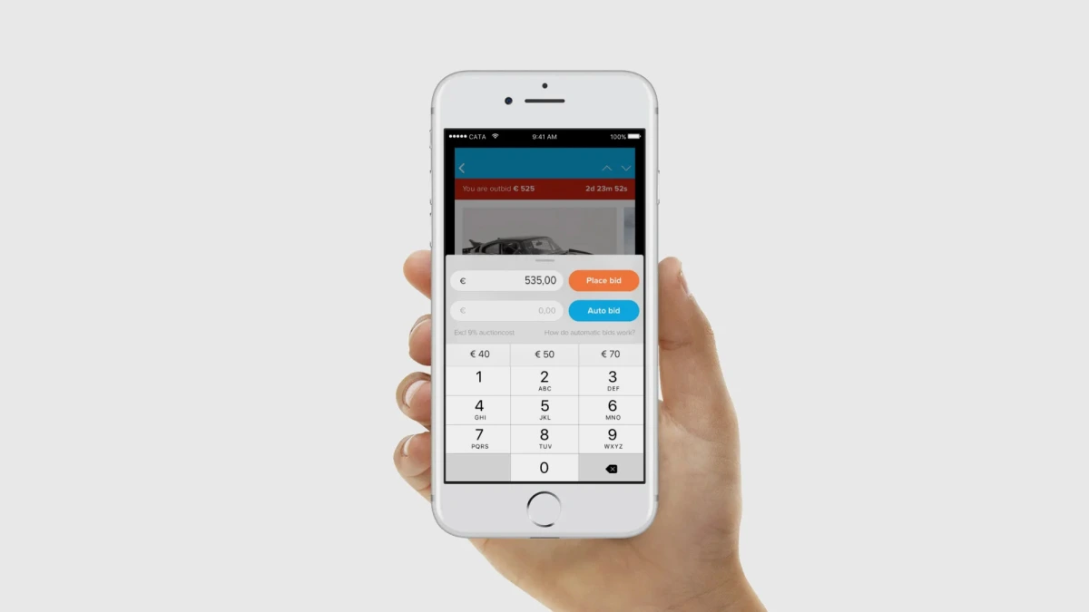 Catawiki fast bidding